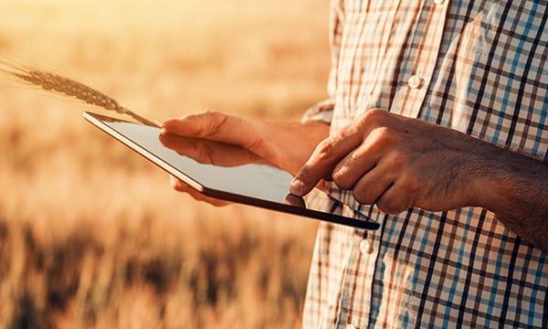 Farmer using tablet in field